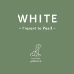 dog lounge yaburo『WHITE』